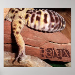 &quot;relax&quot; Lounging Lizard Leopard Gecko Poster at Zazzle