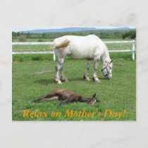 Relax on Mother's Day! Postcard
