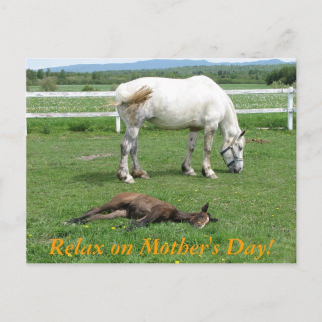 Relax on Mother's Day! Postcard (Front)