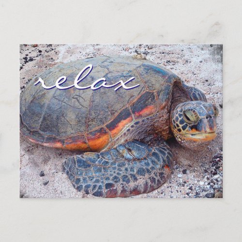 Relax quote Hawaii honu sea turtle close_up photo Postcard