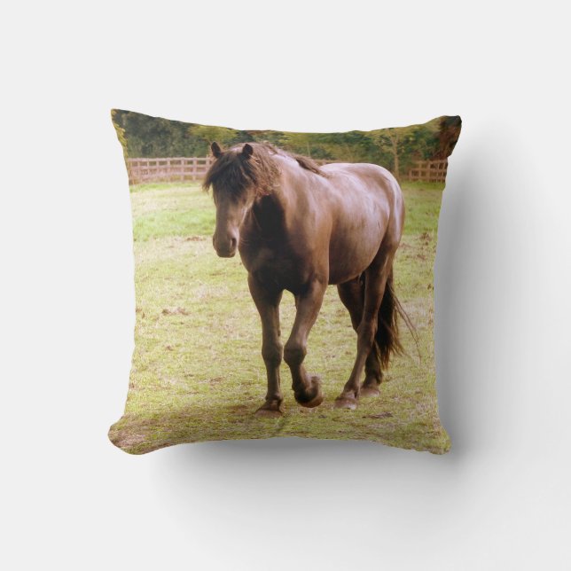 Relaxed Brown Horse Walking Cushion (Front)