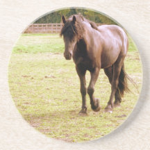 Relaxed Brown Horse Walking