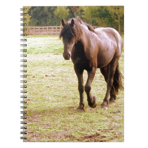 Relaxed Brown Horse Walking Notebook