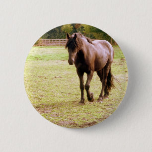Relaxed Brown Horse Walking Pinback Button