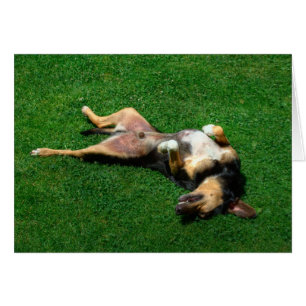 relaxed cards