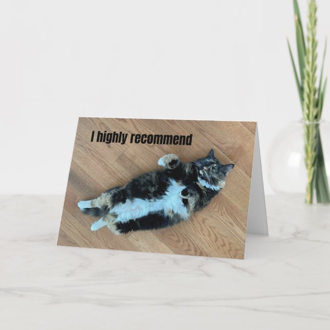 Relaxed Cat with Medical Grade Catnip Get Well  Card (Front)