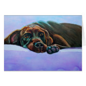 Relaxed Chocolate Lab Dog (Front Horizontal)