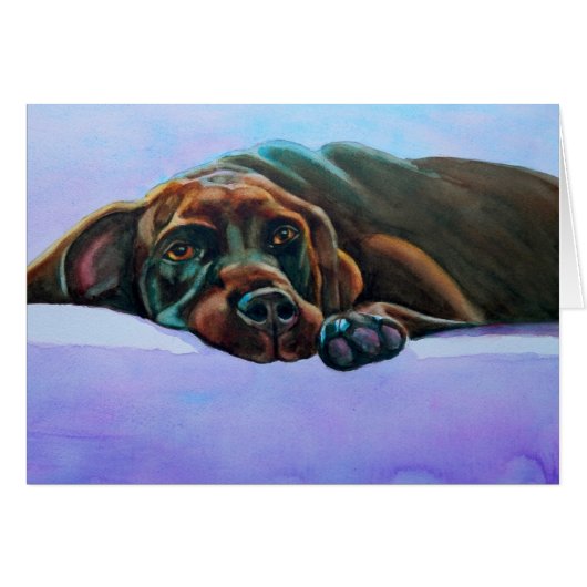Relaxed Chocolate Lab Dog Cards (Front Horizontal)