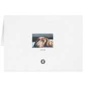 Relaxed Dachshund Cards (Back Horizontal)