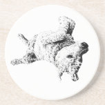 Relaxed Lines of Humor Coaster
