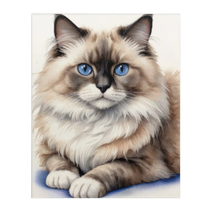 Relaxed Ragdoll Cat Illustration Cozy Pet Acrylic Print