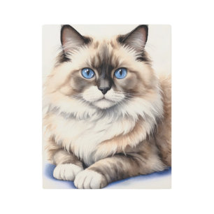 Relaxed Ragdoll Cat Illustration Cozy Pet Metal Print