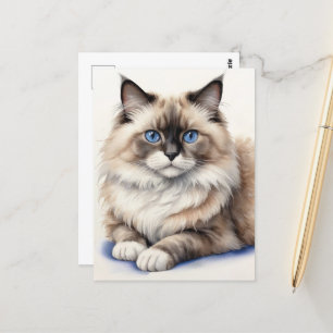 Relaxed Ragdoll Cat Illustration Cozy Pet Postcard