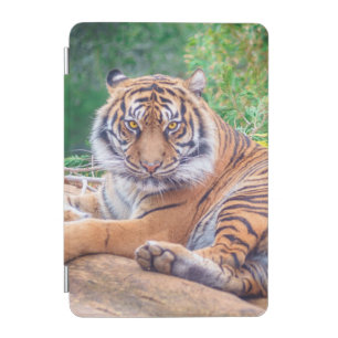 Relaxed Reclining Tiger iPad Mini Cover
