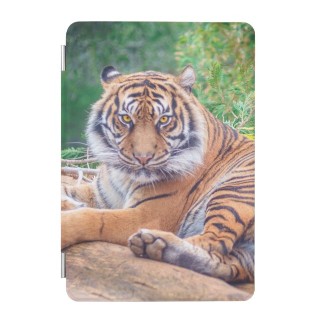 Relaxed Reclining Tiger iPad Mini Cover (Front)