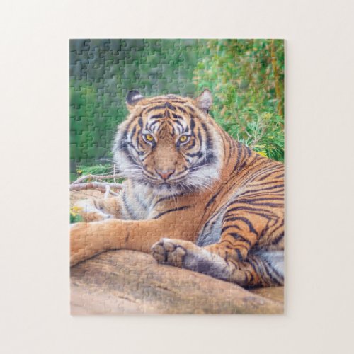 Relaxed Reclining Tiger Jigsaw Puzzle