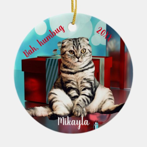 Relaxed Scottish Fold Cat Christmas     Ceramic Ornament