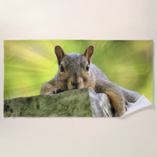 Relaxed Squirrel Beach Towel