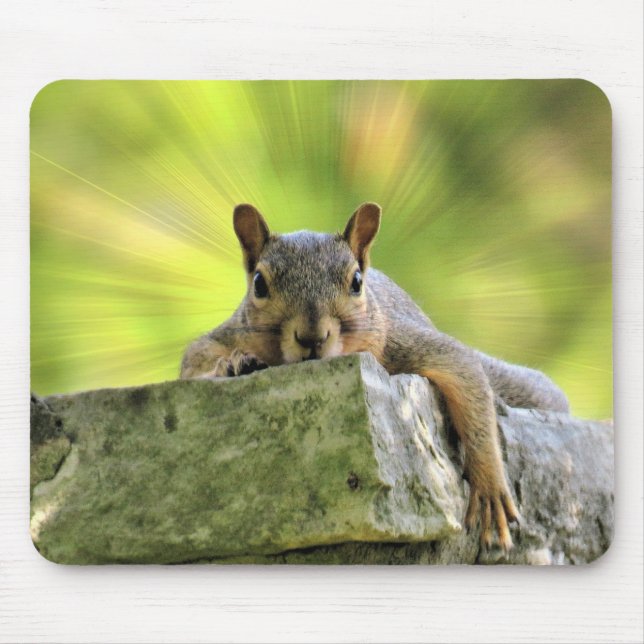 Relaxed Squirrel Mouse Pad (Front)