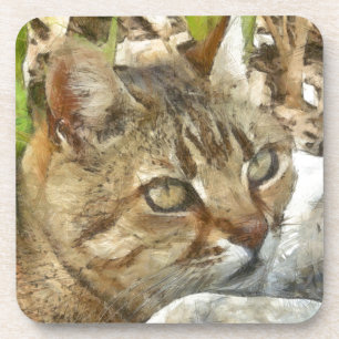 Relaxed Tabby Cat Resting In Garden Pencil Sketch Beverage Coaster