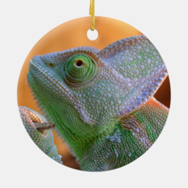 Relaxed Veiled Chameleon Ceramic Ornament (Back)