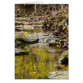 Relaxing At North Wears (Front)