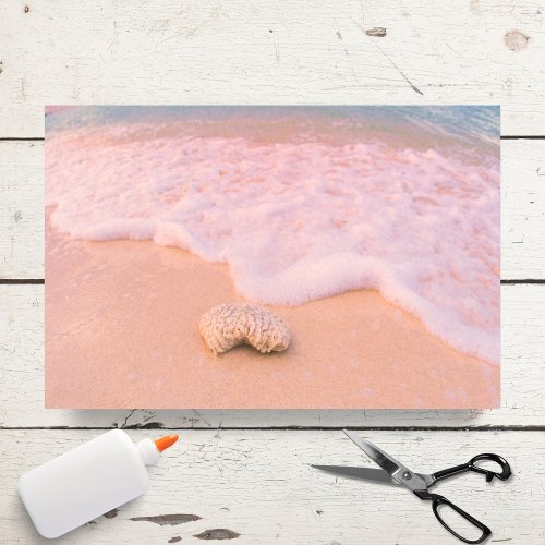 Relaxing Beach With Seashell Cayman Islands Tissue Paper