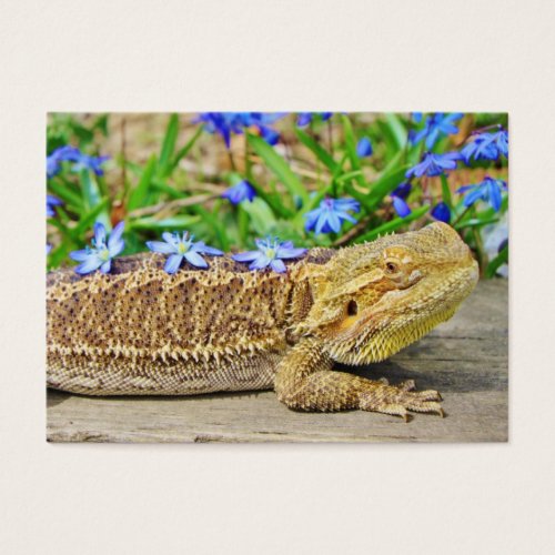Relaxing Bearded Dragon Business Cards