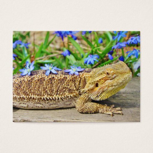 Customizable Relaxing Bearded Dragon Business Cards