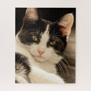 Relaxing black and white cat jigsaw puzzle