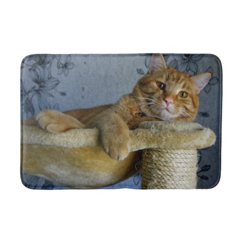 Relaxing Cat Bath Mat