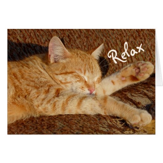 Relaxing Cat Cards (Front Horizontal)