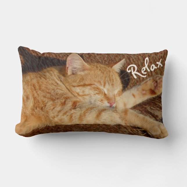 Relaxing Cat Lumbar Pillow (Front)