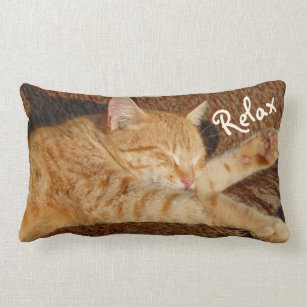 cat lumbar pillow