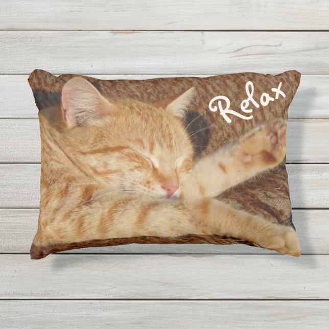 Relaxing Cat Outdoor Pillow (Front)