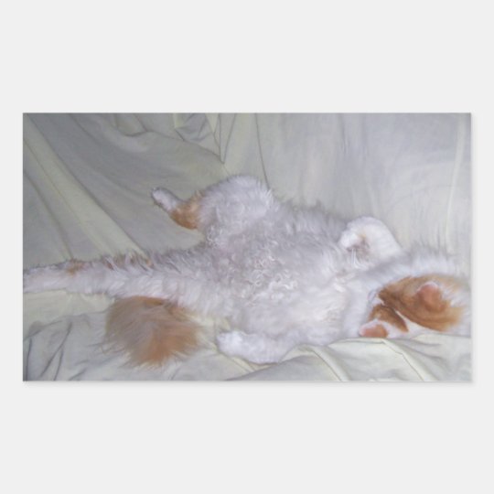 Relaxing Cat Rectangular Sticker
