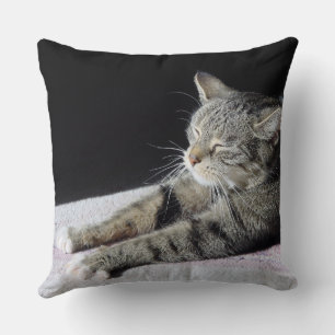Relaxing Cat Throw Pillow