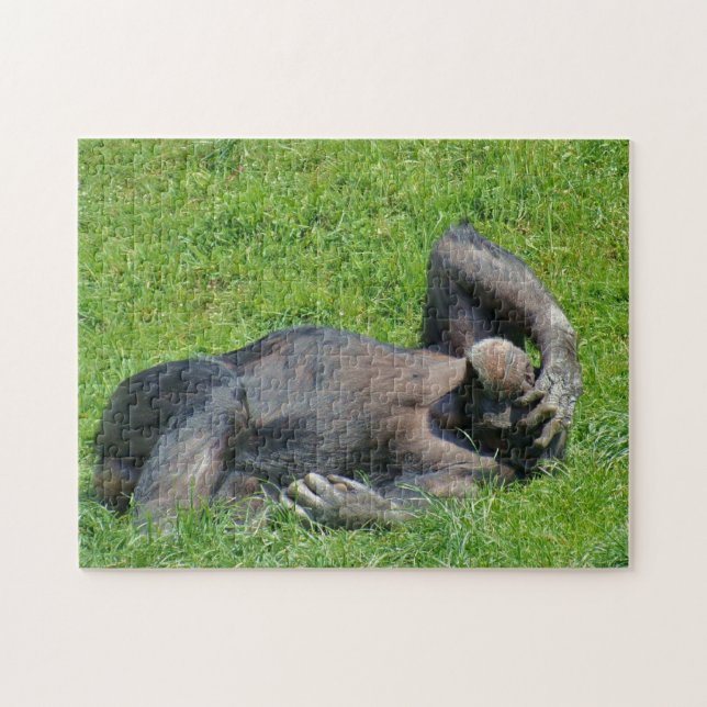 Relaxing Chimpanzee - Puzzle (Horizontal)