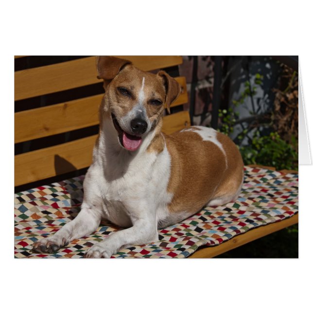 Relaxing Dog Greeting Card (Front Horizontal)