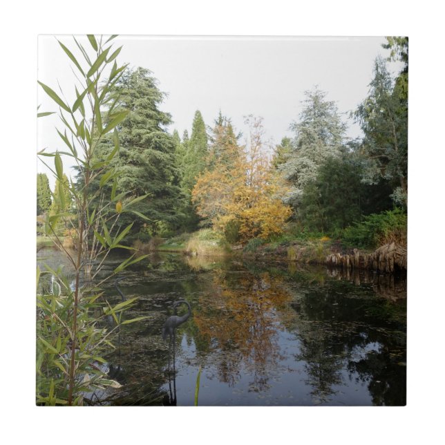 Relaxing garden scene picture, beautiful trees... ceramic tile (Front)