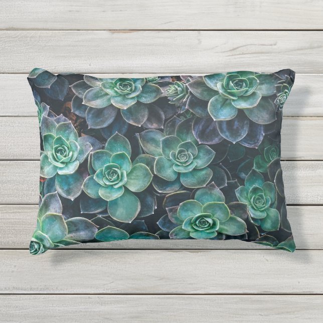 Relaxing Green Blue Succulent Cactus Plants Outdoor Pillow (Front)