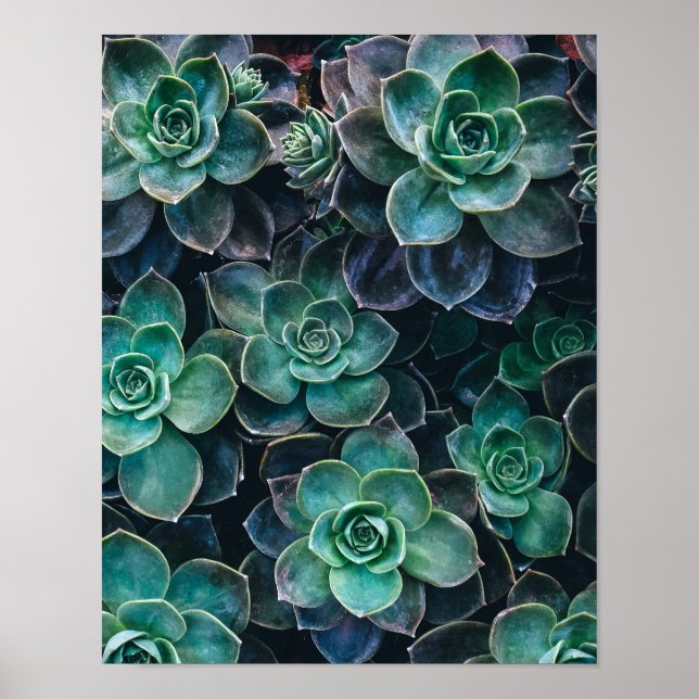 Relaxing Green Blue Succulent Cactus Plants Poster (Front)