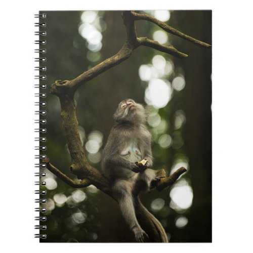 Relaxing Monkey Notebook