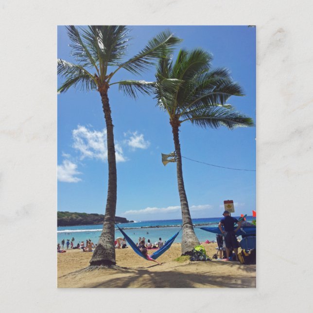 Relaxing on a Hawaii Beach Postcard (Front)