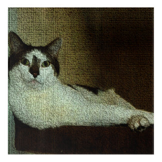 Relaxing on the cat tree acrylic print