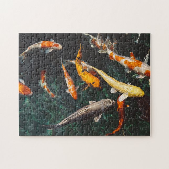 Relaxing Orange & White Asian Koi Fish Pond Jigsaw Puzzle (Horizontal)