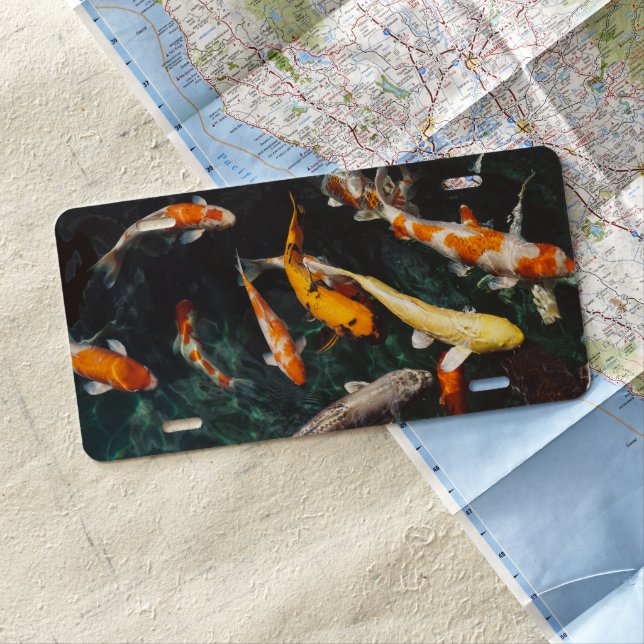 Relaxing Orange & White Asian Koi Fish Pond License Plate (In Situ)