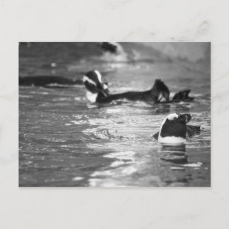 Relaxing Postcard
