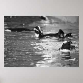 Relaxing Poster