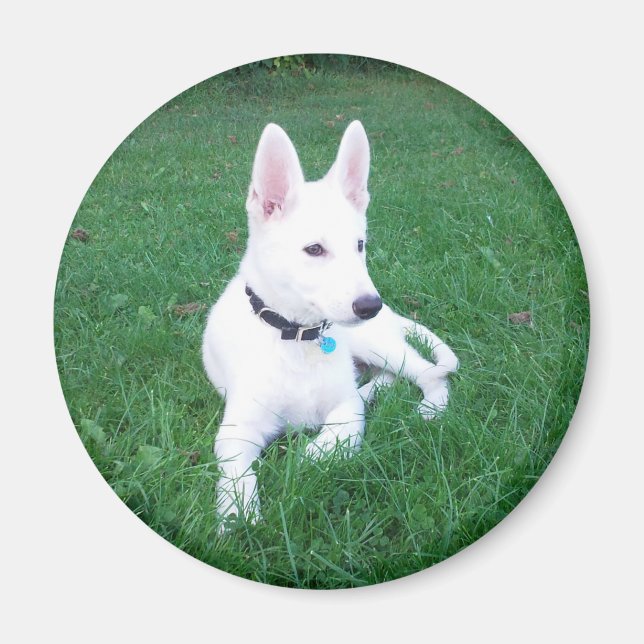 Relaxing Shepherd Magnet (Front)